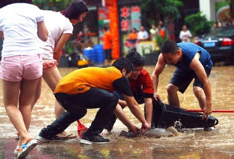 夢見大水|周公解夢：水患帶來好運